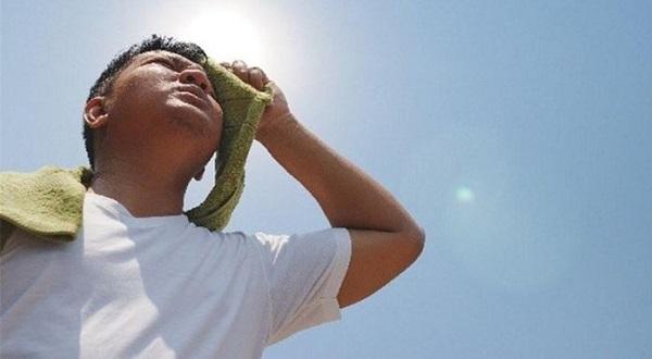 Say nắng là gì và phải làm gì khi bị say nắng?