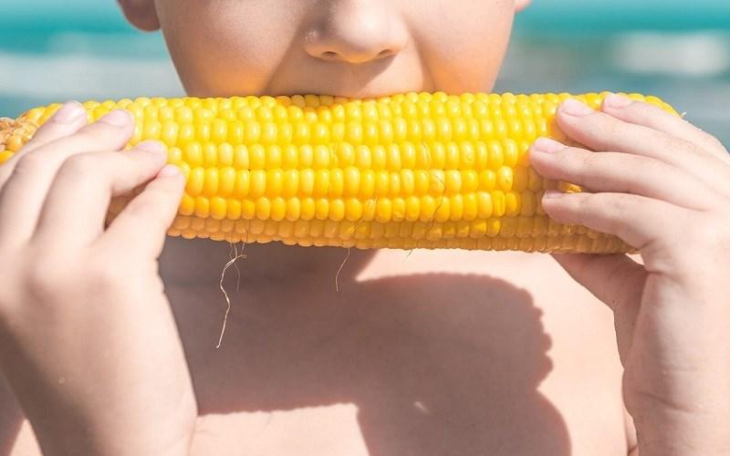 Bắp ngô bao nhiêu calo? Ăn nhiều bắp có tốt không?