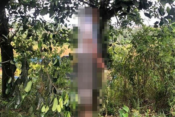 Hà Nội: Bị nghi ăn trộm điện thoại, giáo viên nghỉ hưu tự tử