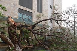 Cập nhật tình hình bão số 9: Mưa gió sẽ dịch dần ra phía Bắc