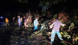 Sạt lở đất ở Quảng Nam: Tìm thấy 8 thi thể tại Trà Leng