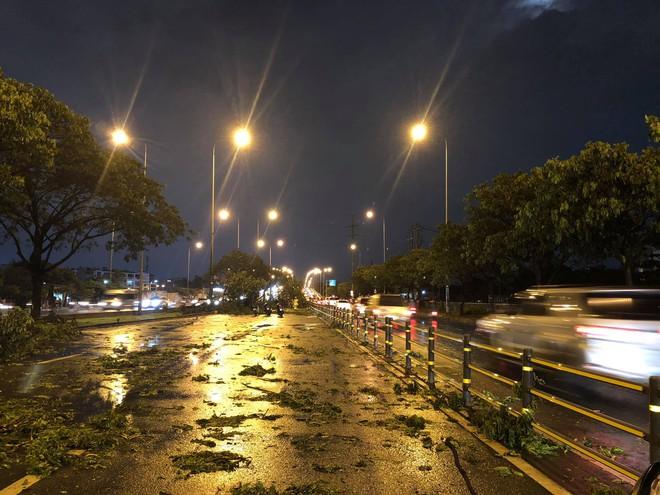 Mưa giông và cây đổ hàng loạt bất thường tại TP.HCM