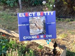 Các ứng viên chó mèo cạnh tranh khốc liệt để giành chức "Chủ tịch khu phố"