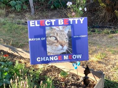 Các ứng viên chó mèo cạnh tranh khốc liệt để giành chức "Chủ tịch khu phố"