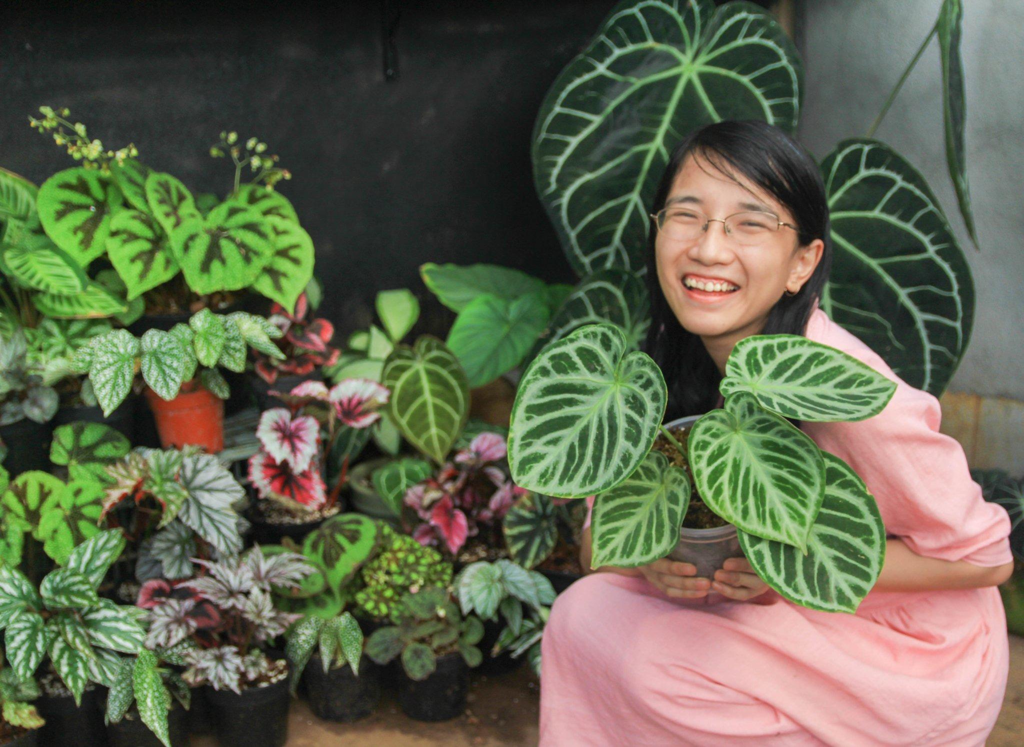 Nữ designer vì yêu rừng mà cải tạo nhà kho thành nhà vườn mini, trồng kiểng lá xanh tươi mướt mắt