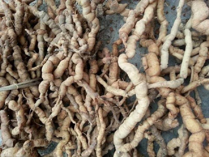 Vụ U40 cương dương 30 tiếng: Chuyên gia khẳng định không thể do ba kích