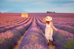 Provence, “tấm bưu thiếp” tuyệt đẹp của miền Nam nước Pháp