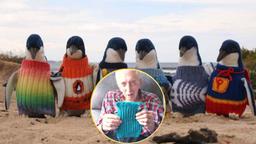 Cụ ông 109 tuổi vẫn dành thời gian hàng ngày để đan áo len cho những chú chim cánh cụt