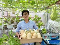 Ông bố 8X biến sân thượng thành mảnh vườn 30m² ngập tràn rau củ, tạo sân chơi lành mạnh cho con