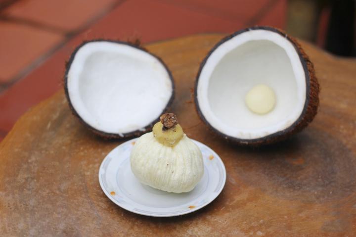 Từng cho không ai lấy, tại sao mộng dừa lại thành đặc sản được săn đón?