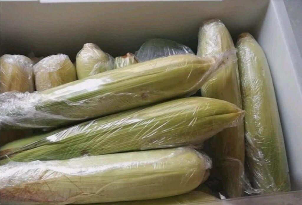Mẹo bảo quản ngô trong tủ đá để cả năm cũng không sợ hỏng