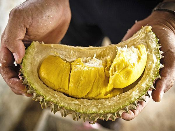 Cách ăn sầu riêng tận dụng cả hạt và vỏ cho tín đồ "trái cây vua"