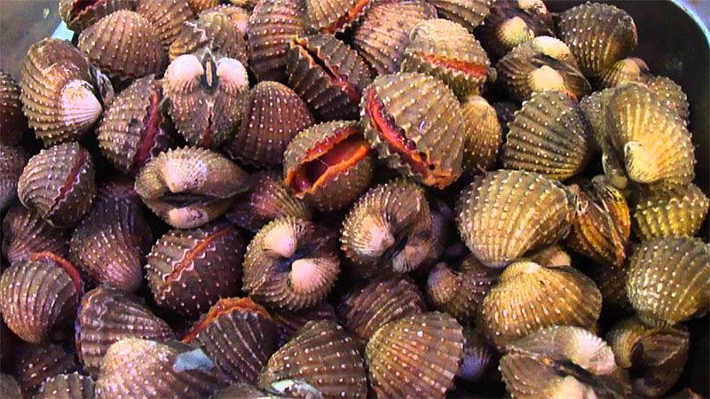 Muốn ăn sò huyết tươi ngon, hãy ghim ngay mẹo chọn sò huyết, cách bảo quản sò huyết này!