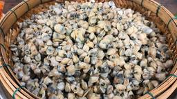 Đừng nhặt hến từng con nữa, đây là 2 cách đãi vỏ hến siêu nhanh siêu dễ