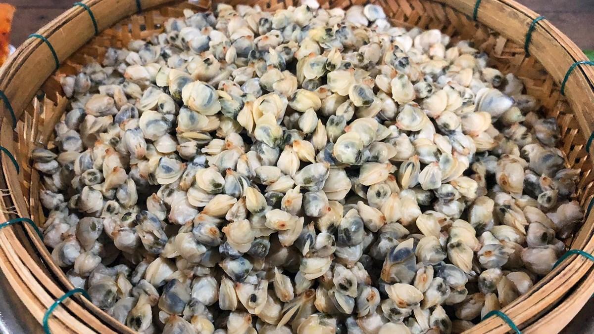 Đừng nhặt hến từng con nữa, đây là 2 cách đãi vỏ hến siêu nhanh siêu dễ