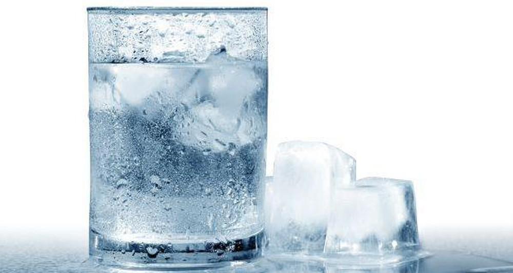 Động vật có thể uống được nước biển, tại sao con người lại không?