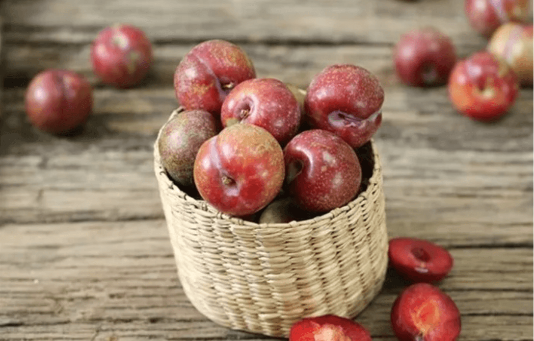 Mùa mận về, điểm danh 4 loại mận khiến chị em mê mẩn, đặc biệt là số 3