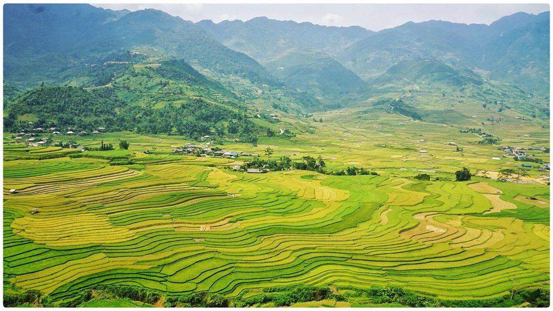 Du lịch cuối năm tại những điểm ngắm lúa chín đẹp mê hồn tại Việt Nam