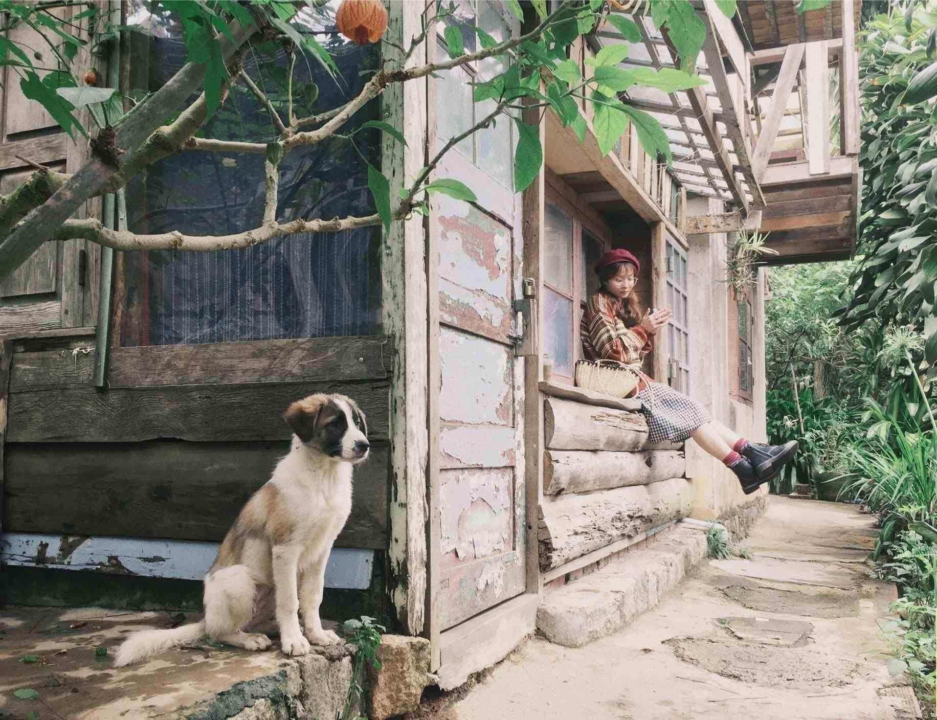 Sống chậm lại cùng 5 homestay an yên tại xứ hoa Đà Lạt