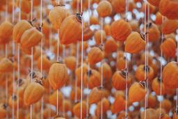 Hồng treo gió: Từ đặc sản Nhật Bản đến món Việt được ưa thích vào mùa Thu