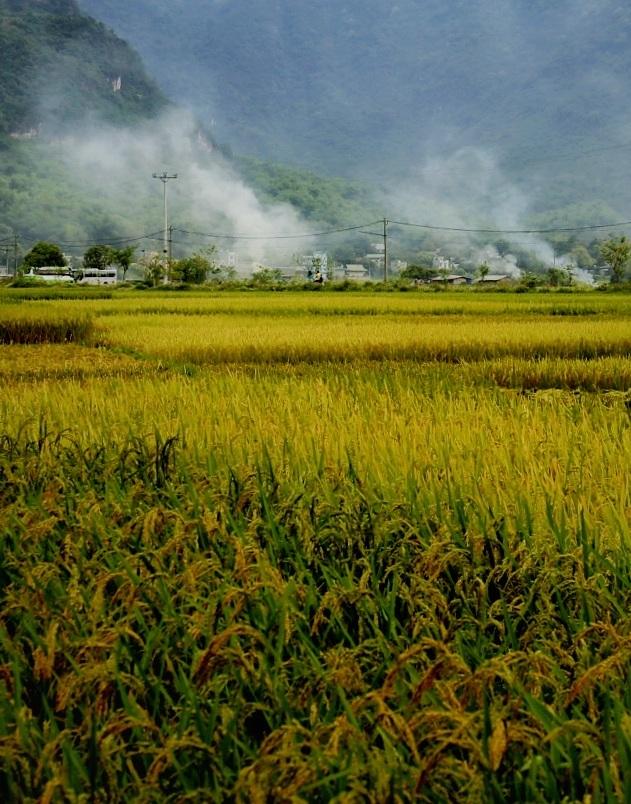 Một ngày đi trốn nhẹ nhàng nhưng thi vị ở Mai Châu
