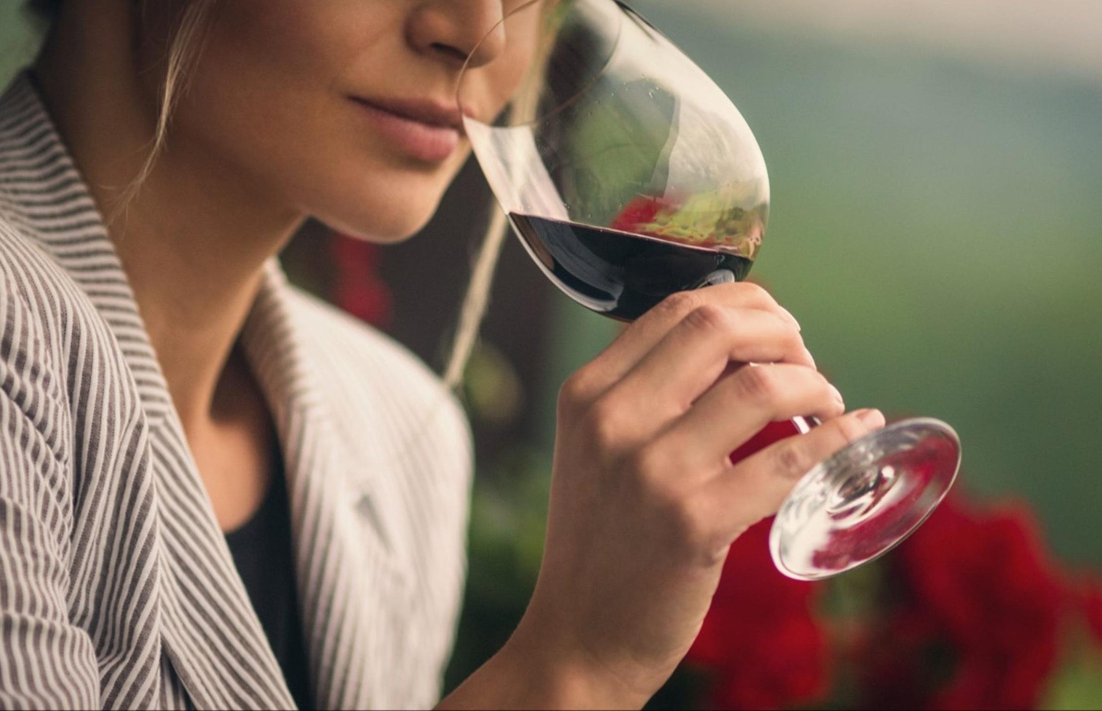 Cẩm nang thử rượu vang đúng cách và nhận biết rượu vang ngon