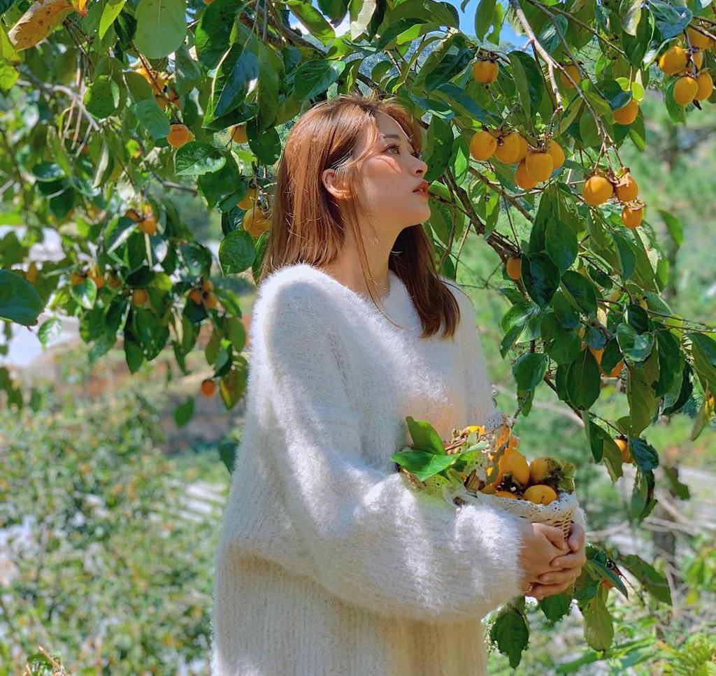 Bỏ túi 3 vườn hồng Đà Lạt được du khách vô cùng ưa thích