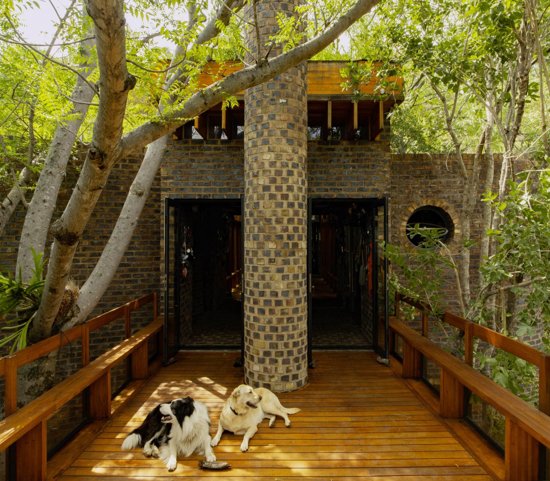 Ngôi nhà trong rừng, điện nước đều "xin" thiên nhiên nhưng rất tiện nghi