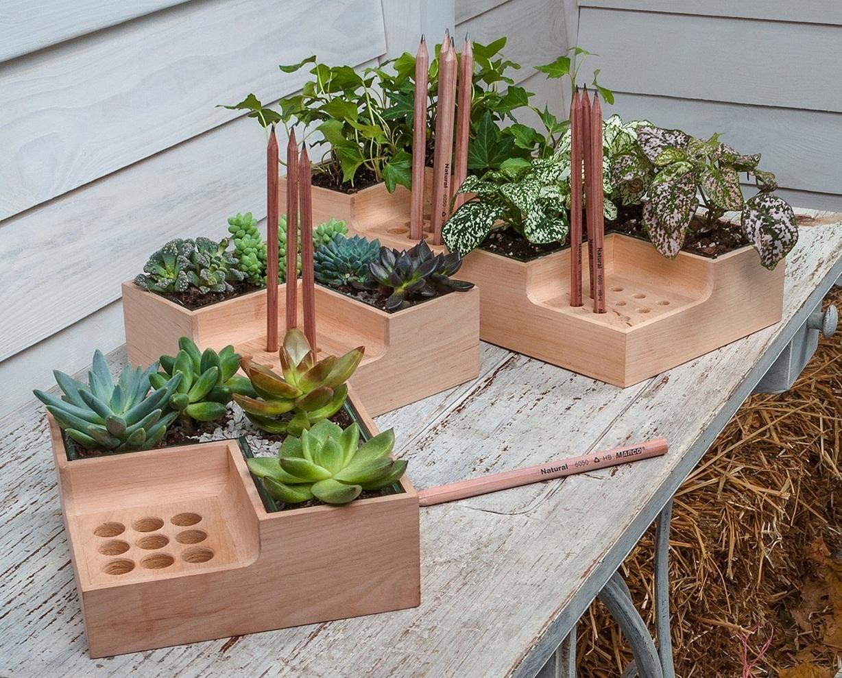 Độc đáo chiếc khay cắm bút kết hợp chậu cây xinh xắn