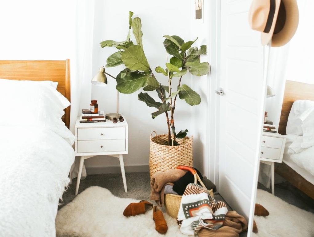 11 ý tưởng sử dụng chiếc giỏ cói để lưu trữ và trang trí nhà hiệu quả