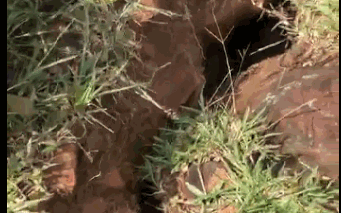 Quảng Trị: Xuất hiện vết nứt dài 200m trên núi Tà Bang, tiến hành di dời dân khẩn cấp