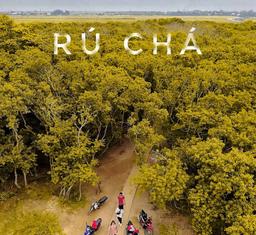 Du lịch mùa thu: Đừng bỏ qua vẻ đẹp của rừng ngập mặn Rú Chá, Huế