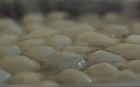 Bánh trôi tàu: Thức quà ngọt lịm, nóng hổi tuyệt vời cho ngày đông lạnh