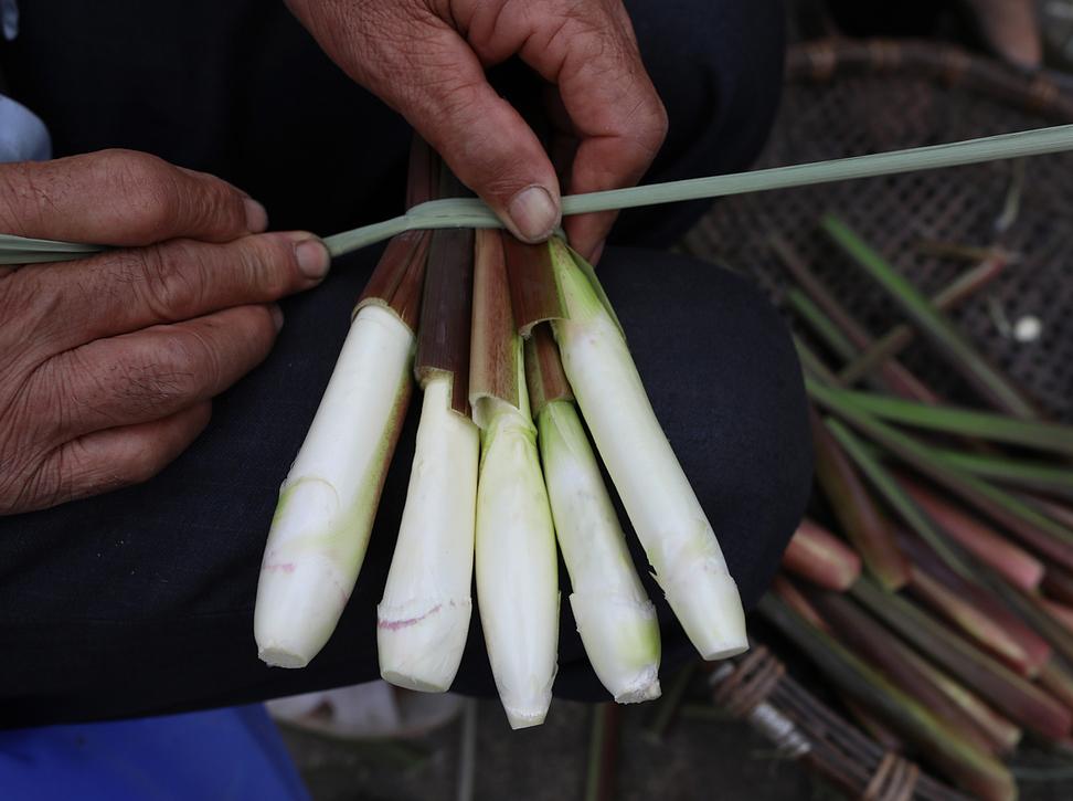 Cách chọn củ niễng ngon và sơ chế đúng cách trước khi chế biến