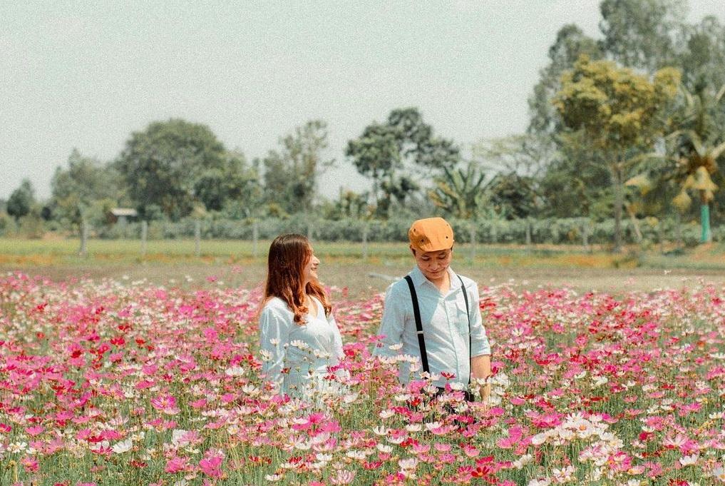 Cánh đồng hoa Thiên Anh, điểm du lịch tuyệt đẹp nên ghé ở An Giang