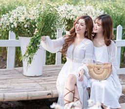 Mùa cúc họa mi đến rồi, chụp ảnh cúc họa mi Hà Nội ở đâu đẹp nhất?