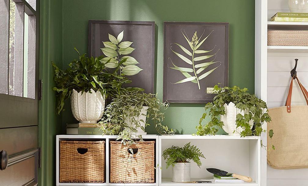 4 bước làm mới từng góc nhà để rước may mắn về nhà trong năm mới