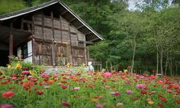 Cô gái bỏ phố về quê cải tạo nhà hoang thành ngôi nhà cổ tích, ngập sắc hoa