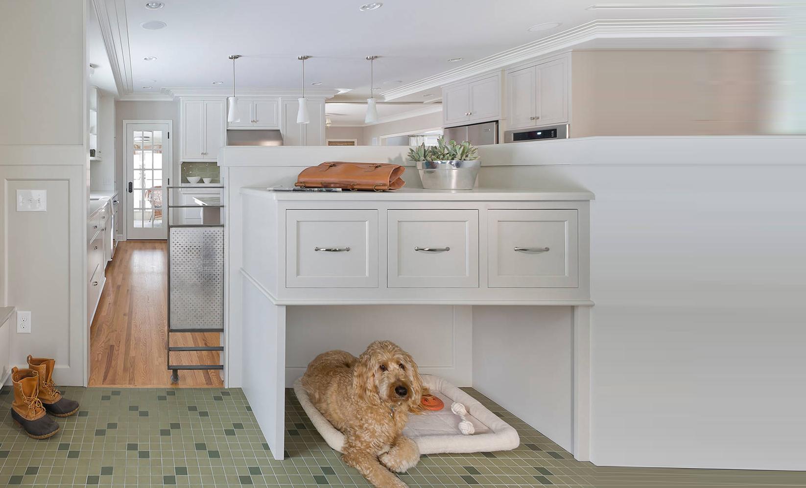 14 ý tưởng nhà cho cún cưng trong nhà khiến người yêu động vật mê tít