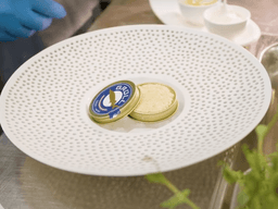 Trứng cá tầm bạch tạng: “Viên kim cương” trên bàn tiệc của hội nhà giàu