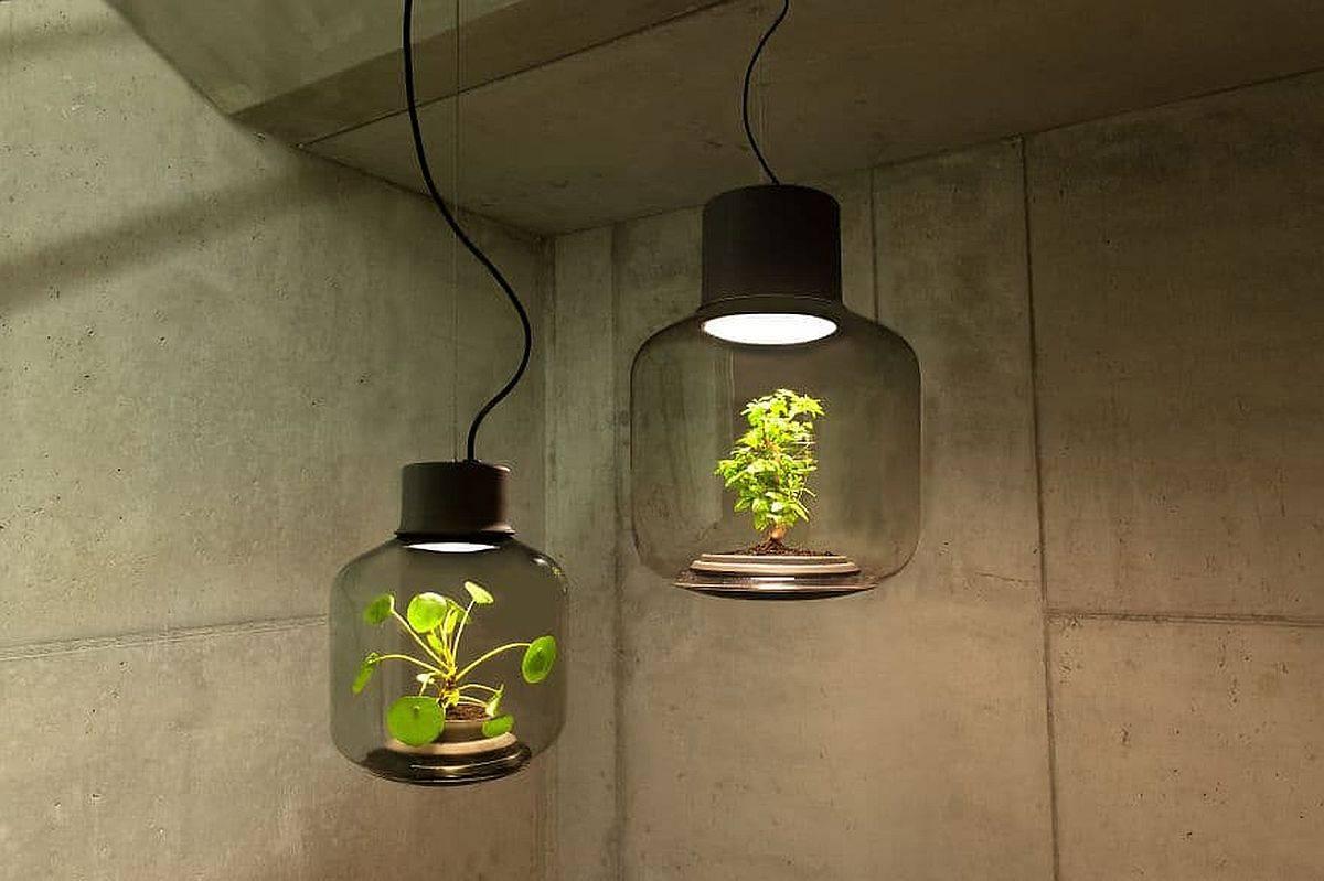 Mygdal Plantlights, mẫu đèn thả trần kiêm chậu cây có giá trăm triệu