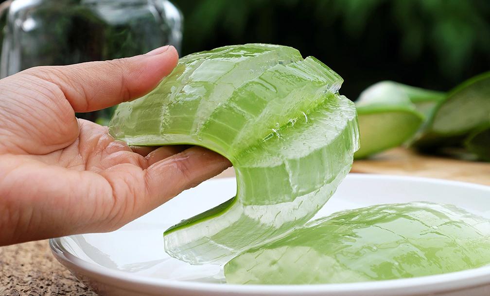 Cách sơ chế lô hội nấu chè giải nhiệt đảm bảo giòn, để lâu mà không nhớt