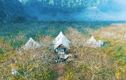 3 điểm cắm trại "xinh và mộng mơ" bậc nhất để dành hết dịch mình cùng đi