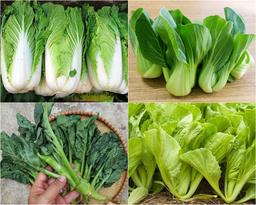 Cách phân biệt 11 loại rau cải Việt Nam phổ biến để tự tin ra mắt mẹ chồng