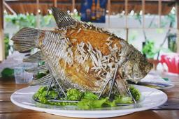 4 món cá đặc sản ngon nức tiếng của ẩm thực Việt Nam