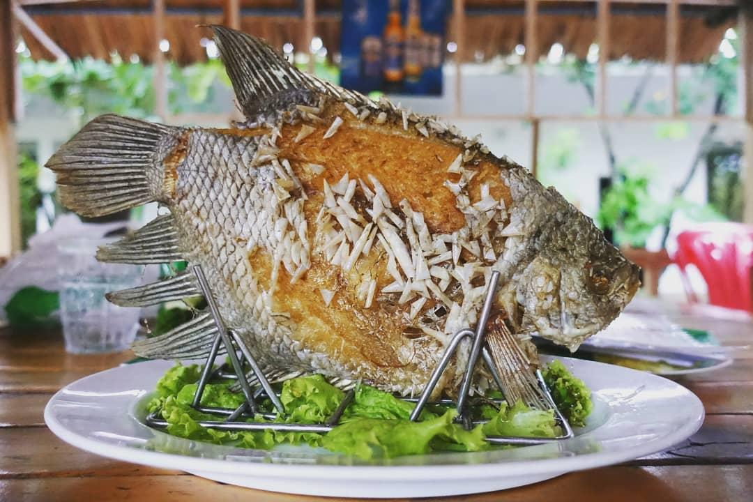 4 món cá đặc sản ngon nức tiếng của ẩm thực Việt Nam