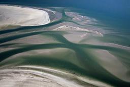 Biển Wadden, bãi biển 1 ngày biến mất 2 lần được Google Doodle tôn vinh?