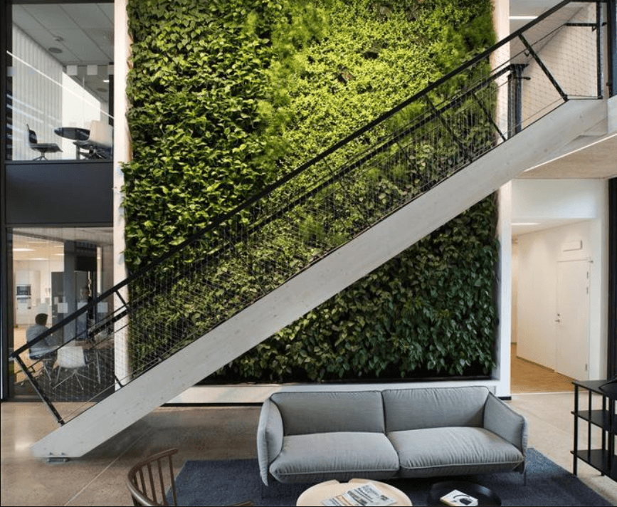 Những "khu vườn thẳng đứng" tuyệt đẹp cho tường nhà thêm xanh và sống động