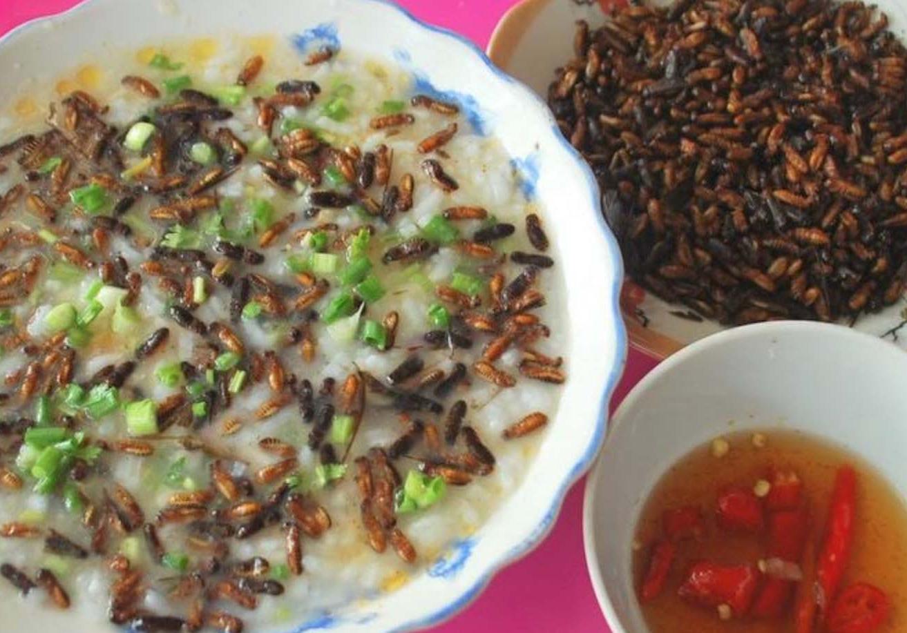 Món cháo mối độc đáo từ mối cánh được ví như "tôm bay" của người Cơ Tu