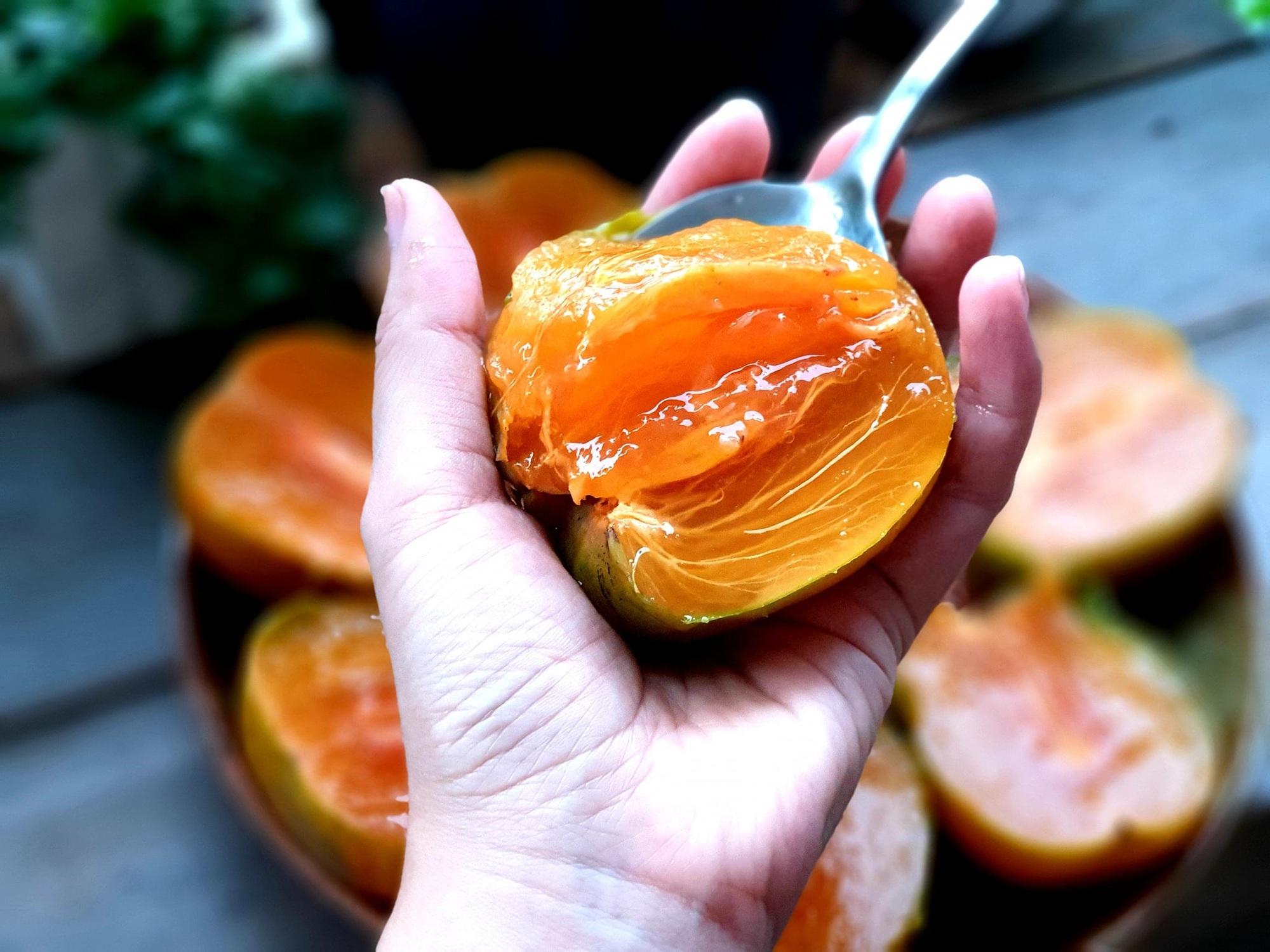 Hồng da tre có gì đặc biệt mà được người sành ăn săn đón, đắt vẫn tìm mua?